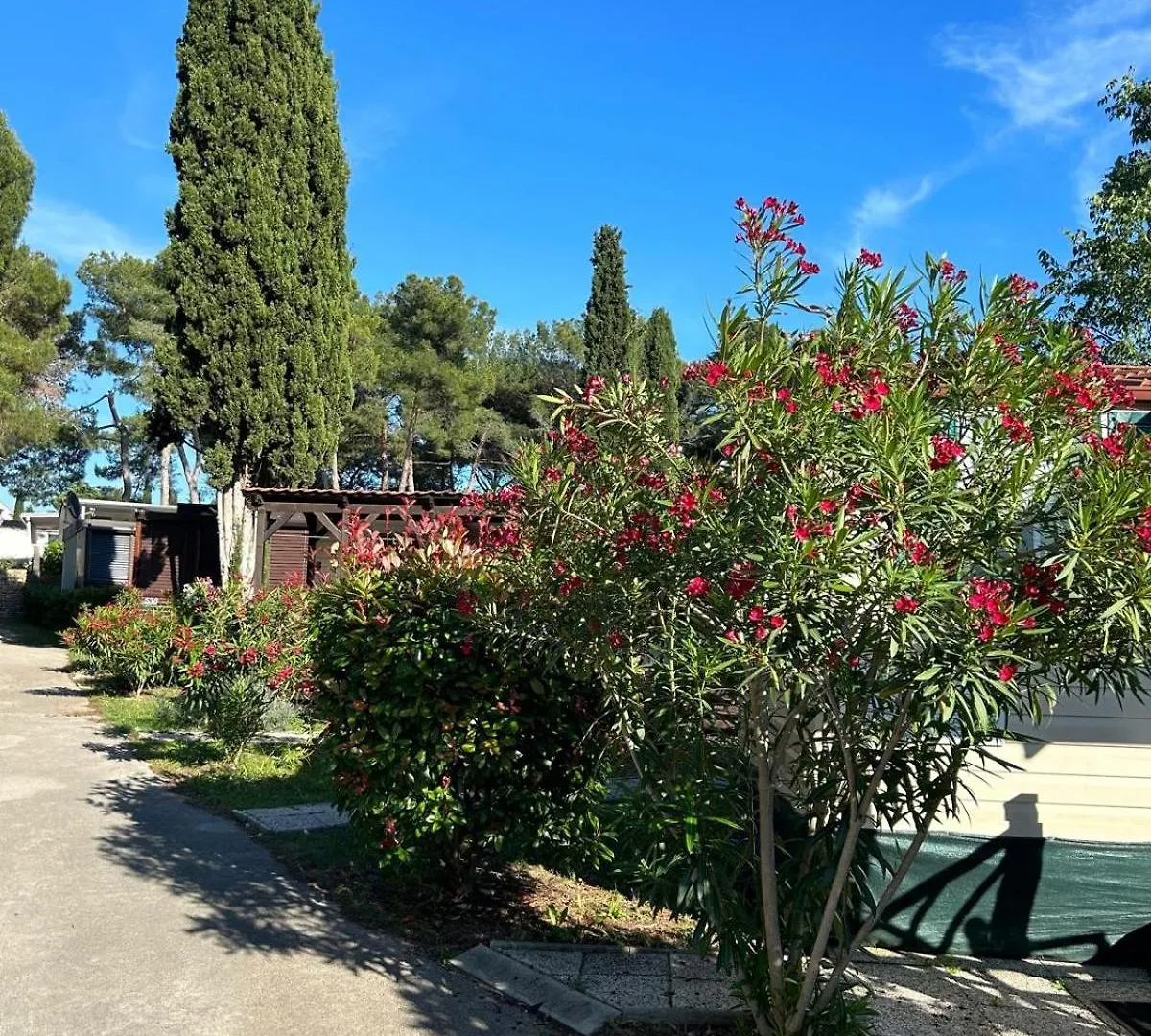 Camping Media Mobile Homes In Brioni Sunny Camping Pula Ferienpark