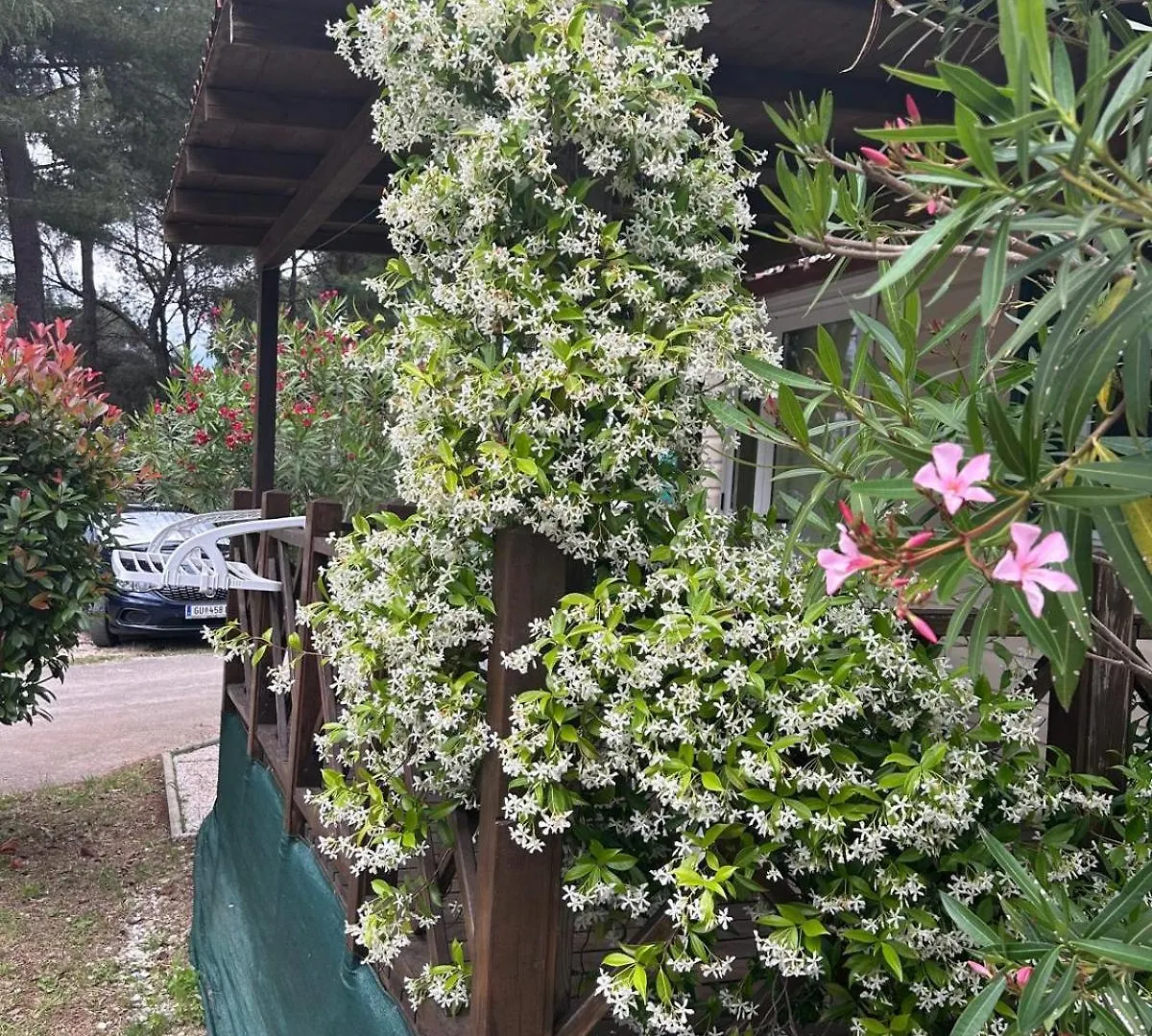 Camping Media Mobile Homes In Brioni Sunny Camping Pula